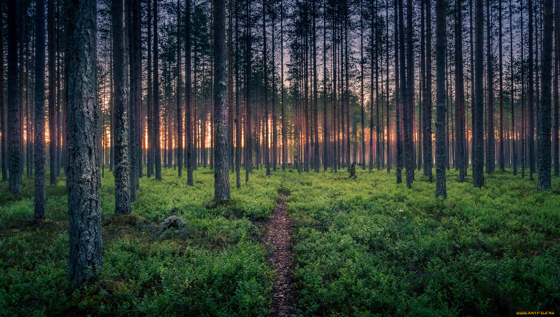 , , 